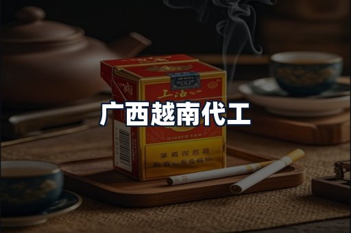 广西越南代工